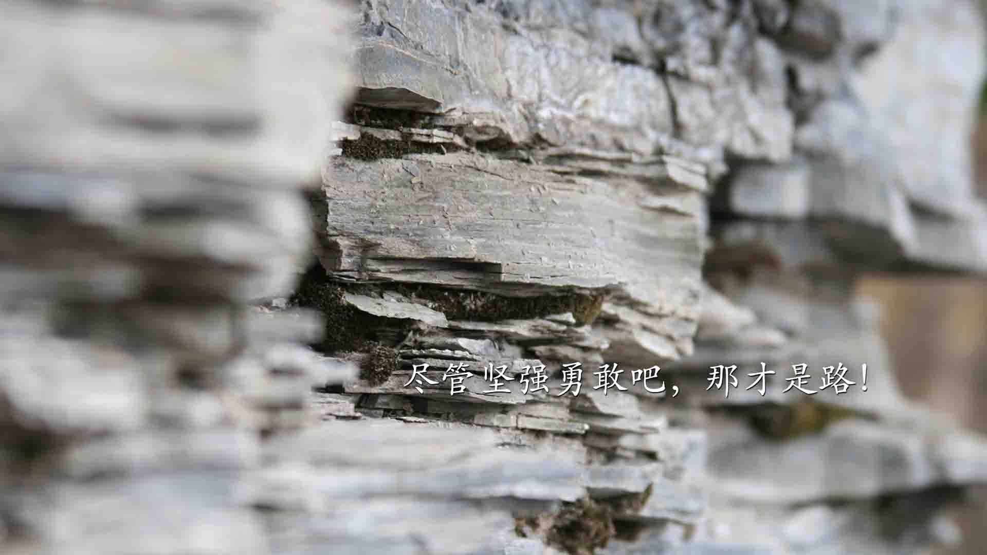 蓝白压境下的孤勇者,2026世界杯E组,阿根廷的秩序与C罗的不屈独舞